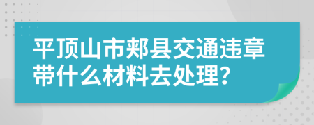 平顶山市郏县交通违章带什么材料去处理？