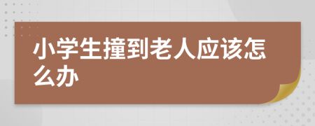 小学生撞到老人应该怎么办