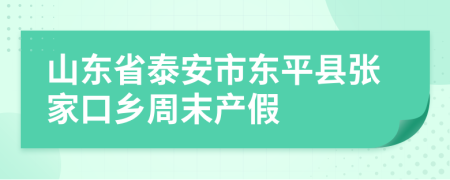 山东省泰安市东平县张家口乡周末产假