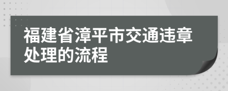 福建省漳平市交通违章处理的流程