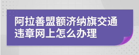 阿拉善盟额济纳旗交通违章网上怎么办理