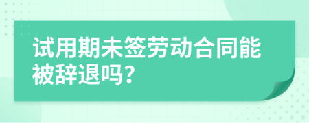 试用期未签劳动合同能被辞退吗？