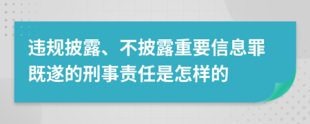 违规披露、不披露重要信息罪既遂的刑事责任是怎样的