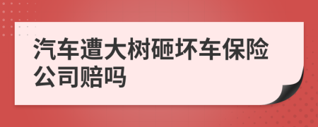 汽车遭大树砸坏车保险公司赔吗