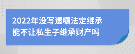 2022年没写遗嘱法定继承能不让私生子继承财产吗