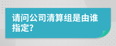 请问公司清算组是由谁指定？