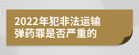 2022年犯非法运输弹药罪是否严重的