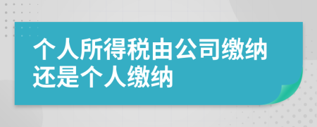 个人所得税由公司缴纳还是个人缴纳