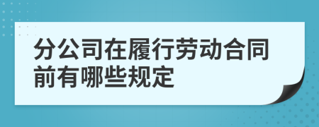 分公司在履行劳动合同前有哪些规定