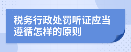 税务行政处罚听证应当遵循怎样的原则