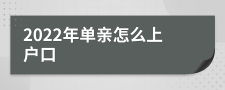 2022年单亲怎么上户口