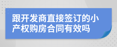 跟开发商直接签订的小产权购房合同有效吗