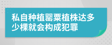 私自种植罂粟植株达多少棵就会构成犯罪
