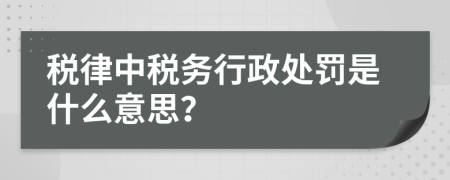 税律中税务行政处罚是什么意思？