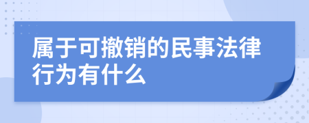 属于可撤销的民事法律行为有什么