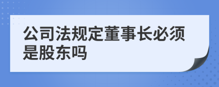 公司法规定董事长必须是股东吗