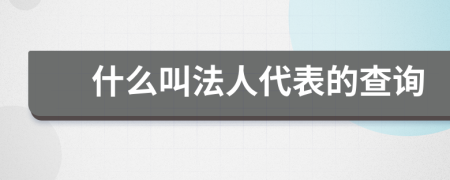 什么叫法人代表的查询