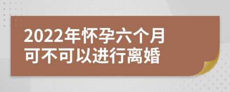 2022年怀孕六个月可不可以进行离婚