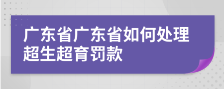 广东省广东省如何处理超生超育罚款