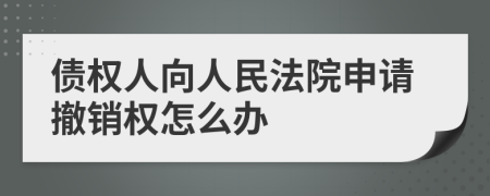 债权人向人民法院申请撤销权怎么办