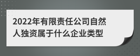 2022年有限责任公司自然人独资属于什么企业类型