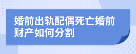 婚前出轨配偶死亡婚前财产如何分割