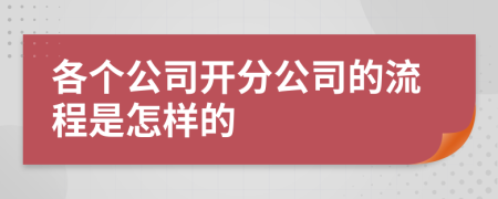 各个公司开分公司的流程是怎样的
