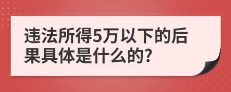 违法所得5万以下的后果具体是什么的?