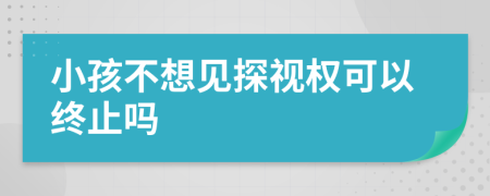小孩不想见探视权可以终止吗