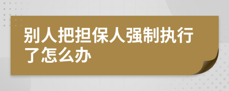 别人把担保人强制执行了怎么办