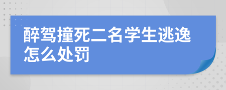 醉驾撞死二名学生逃逸怎么处罚