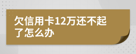 欠信用卡12万还不起了怎么办