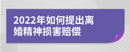 2022年如何提出离婚精神损害赔偿