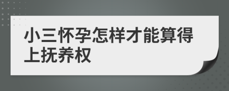 小三怀孕怎样才能算得上抚养权