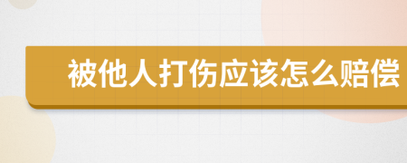 被他人打伤应该怎么赔偿