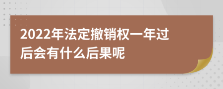 2022年法定撤销权一年过后会有什么后果呢