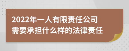 2022年一人有限责任公司需要承担什么样的法律责任