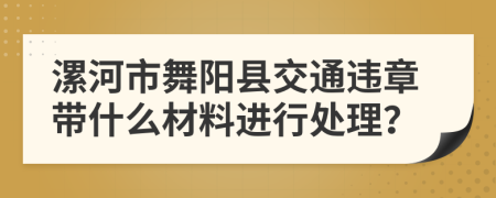 漯河市舞阳县交通违章带什么材料进行处理？