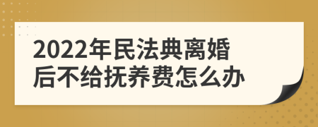 2022年民法典离婚后不给抚养费怎么办