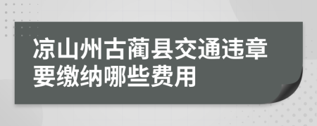 凉山州古蔺县交通违章要缴纳哪些费用