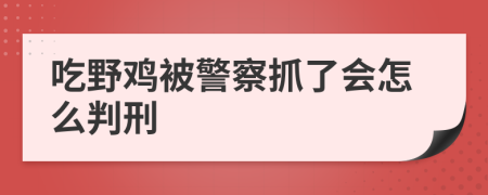 吃野鸡被警察抓了会怎么判刑