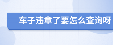 车子违章了要怎么查询呀