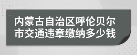 内蒙古自治区呼伦贝尔市交通违章缴纳多少钱