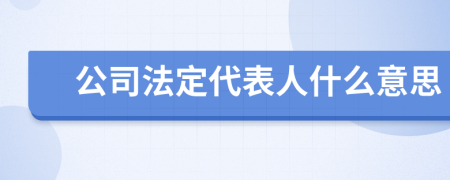 公司法定代表人什么意思