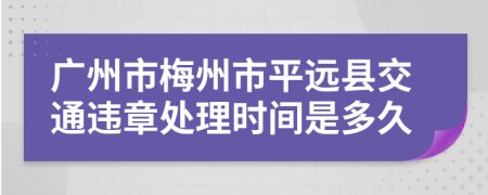 广州市梅州市平远县交通违章处理时间是多久