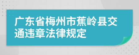 广东省梅州市蕉岭县交通违章法律规定