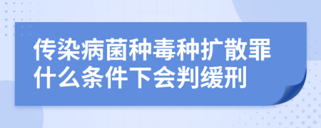 传染病菌种毒种扩散罪什么条件下会判缓刑