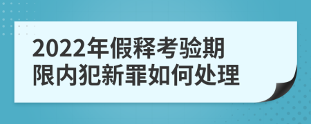 2022年假释考验期限内犯新罪如何处理