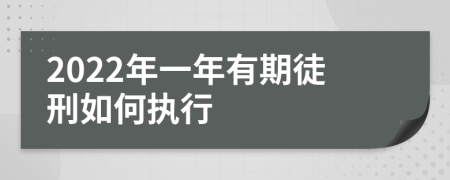 2022年一年有期徒刑如何执行