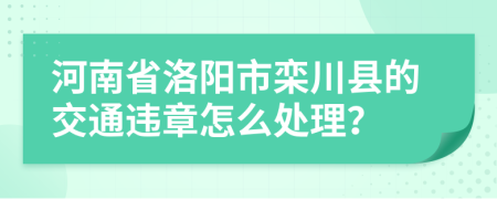 河南省洛阳市栾川县的交通违章怎么处理？